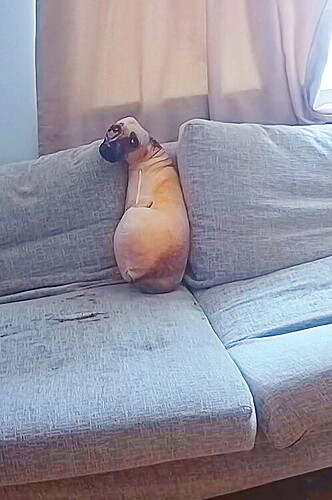 bandicam 2023-10-31 08-01-52-226