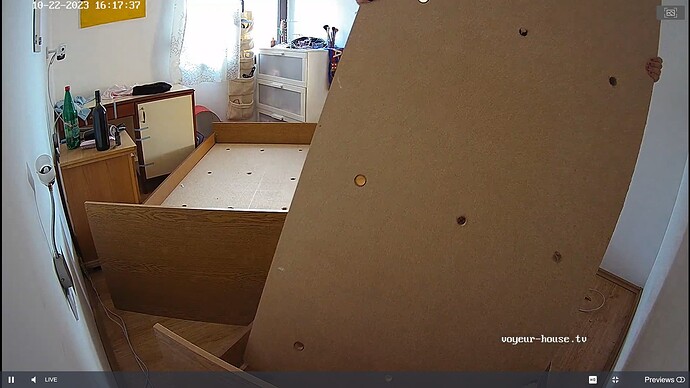 Noldus 2023-10-22 16-18-10-932