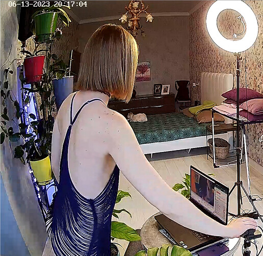 Screenshot 2023-06-13 at 14-00-22 Guest bedroom camera at Sophia Elon Claudia reallifecam apartment at Voyeur House TV (cam110)
