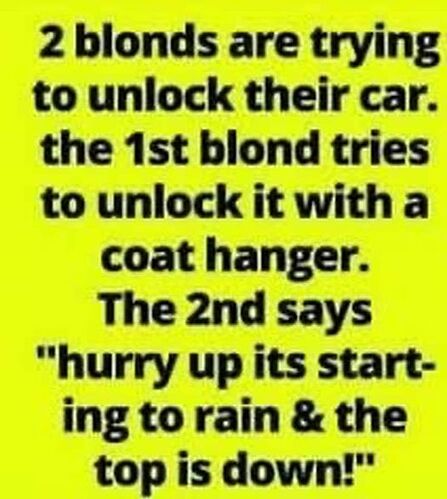 car blonde