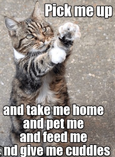 main-qimg-570fcf0eb26357ff0ef5aaa87f706eca