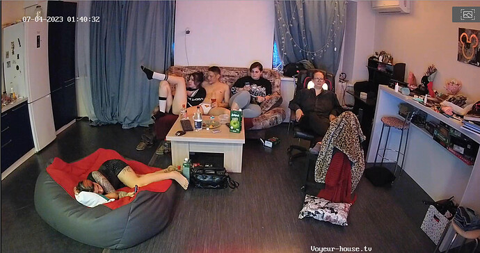 Screenshot 2023-07-03 at 18-42-07 Living room camera at Henry reallifecam apartment at Voyeur House TV (cam17)