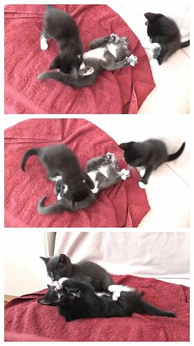 main-qimg-4e38ca365ee59f063de1f12d1c8441d5