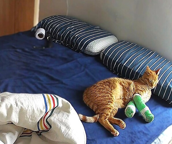 bandicam 2026-03-23 19-29-35-924