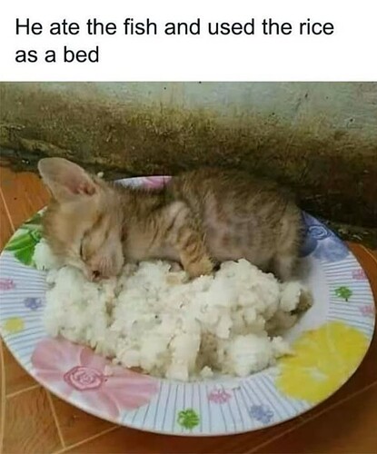 Ate Fish