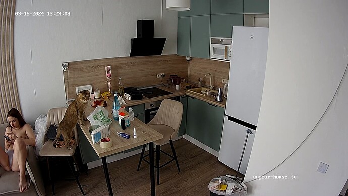 realm33-cam11-1710498339