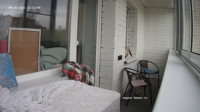 realm67-cam110-1745570312