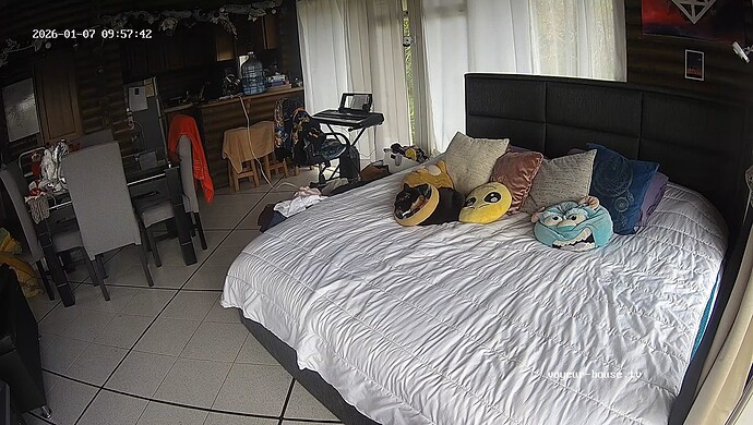 realm139-cam16-1767797897