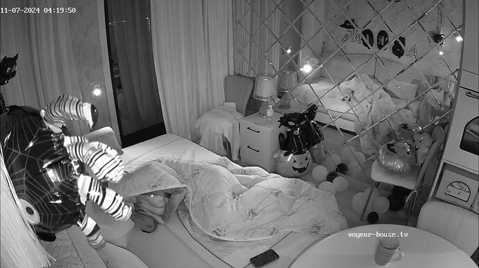 Ashampoo_Snap_jeudi 7 novembre 2024_2h20m25s_001_Living room camera at Sins reallifecam apartment at Voyeur Hub TV (cam14) - Google Chrome
