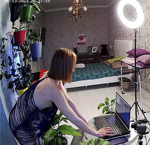 Screenshot 2023-06-13 at 13-56-01 Guest bedroom camera at Sophia Elon Claudia reallifecam apartment at Voyeur House TV (cam110)
