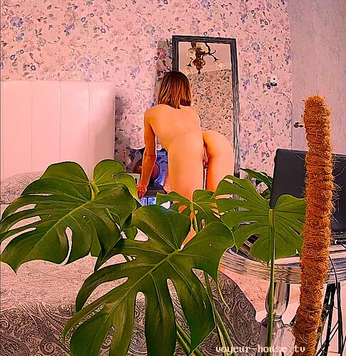 Screenshot 2023-09-22 at 14-44-44 Clara & Stas - Apartments Discussion - Voyeur House TV Forum