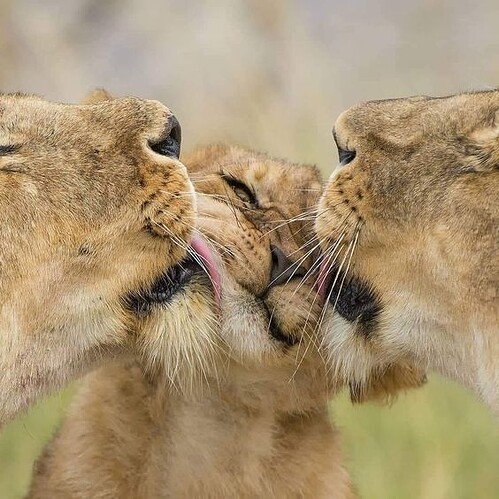 main-qimg-79d68de3467e170fc9d337e6c106d4e2