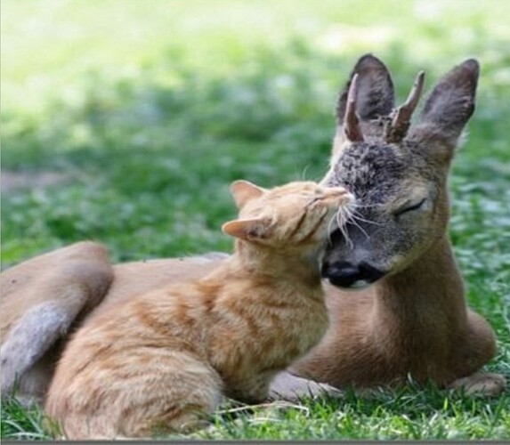 main-qimg-2ccfbda7eebf22751fed34eb369b8d70