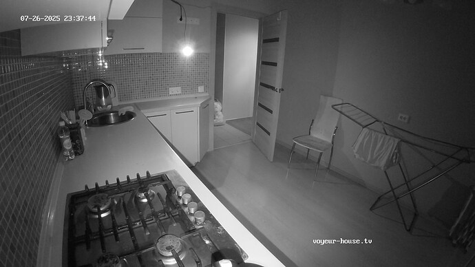 realm62-cam11-1753562304