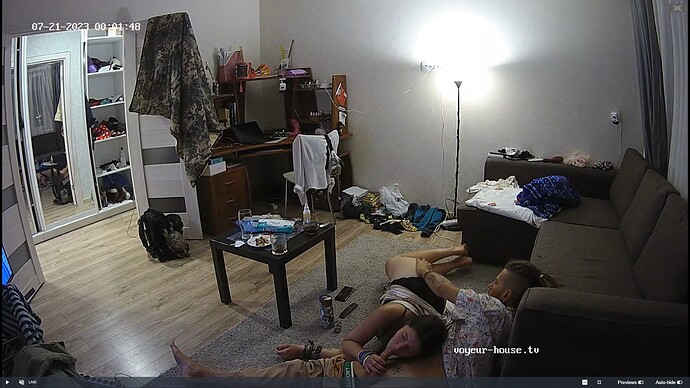 Ashampoo_Snap_jeudi 20 juillet 2023_23h3m28s_031_Living room camera at Medea reallifecam apartment at Voyeur House TV (cam13) - Google Chrome