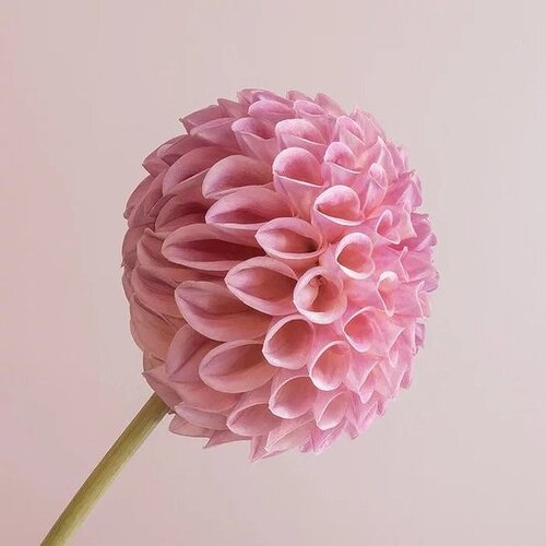 main-qimg-417c7c45509d7868f705d7cc365ebabf-lq