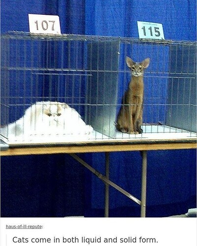 main-qimg-efda4540cac4526508a4072a57653fb8