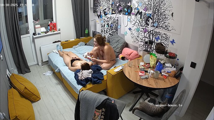 Ashampoo_Snap_vendredi 10 octobre 2025_18h42m38s_001_Living room camera at Swera & Jaxon reallifecam apartment at Voyeur House TV (cam13) - Google Chrome