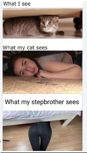 669574647_1606257250643200_5919528064809279672_n