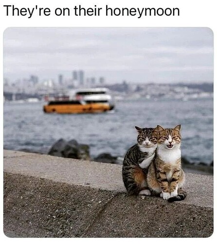 main-qimg-02f3e8241e1615752be6bb27aa843a9a