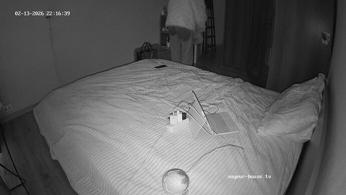 realm71-cam18-1771010226