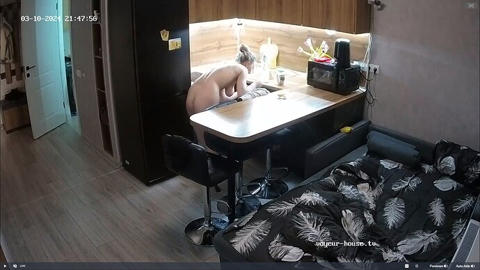 Ashampoo_Snap_dimanche 10 mars 2024_19h51m5s_002_Aderyn apartment with reallifecam cameras at Voyeur House TV - Google Chrome