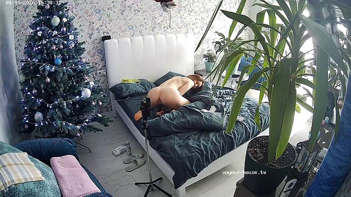 realm35-cam16-1768483864