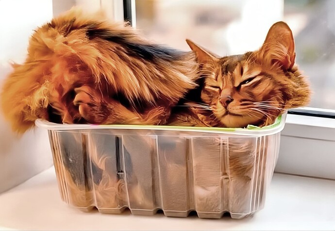 retouch_2024051115040427