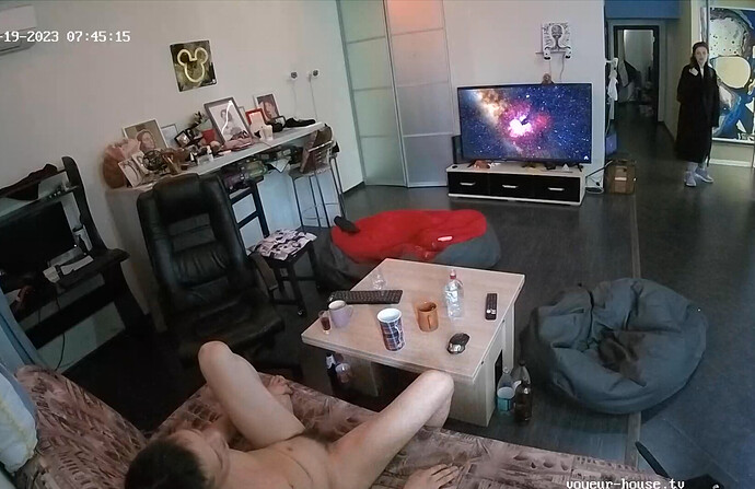 Screenshot 2023-08-19 at 00-48-30 Living room camera at Henry reallifecam apartment at Voyeur House TV (cam17)