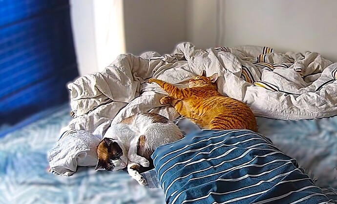 bandicam 2026-02-21 17-01-50-745