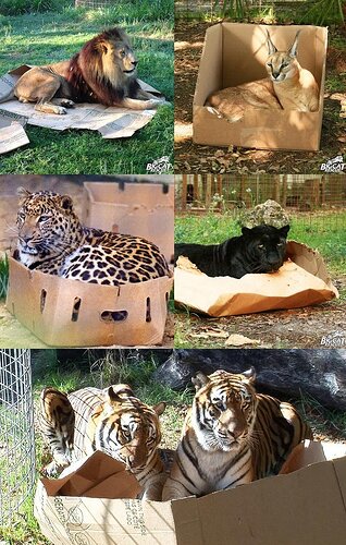 main-qimg-1edef96f85de8caf622abef5d6fd9a98-lq