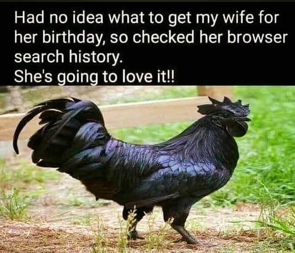 360119443_6404249522997030_7054498248008782588_n