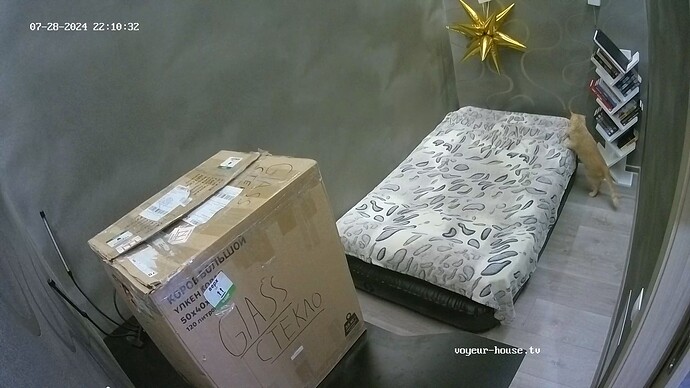 realm62-cam113-1722193866