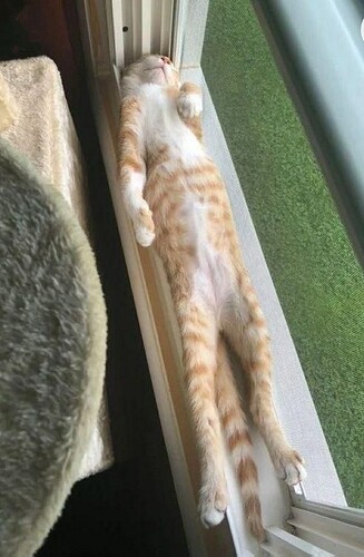 main-qimg-d2634733fa2bd30636e20ecc84c1dfa4