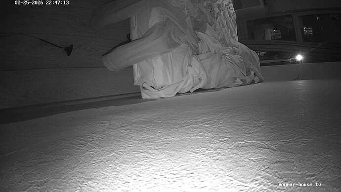 realm134-cam17-1772048875