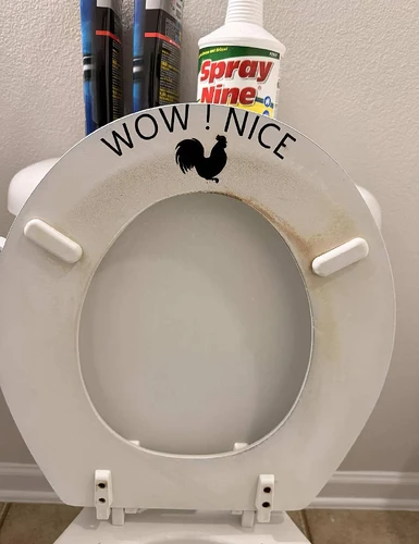 pix-dump-2202-113-69c6f5a0ef0eb