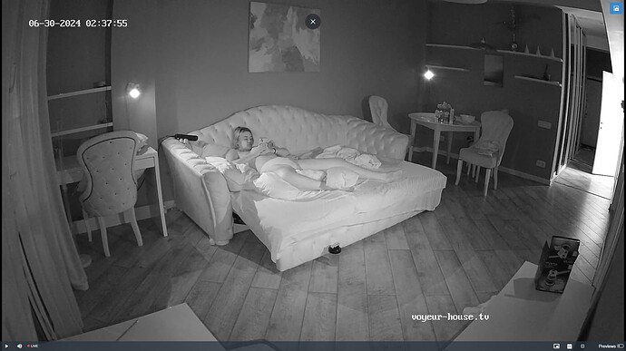 Ashampoo_Snap_dimanche 30 juin 2024_1h38m42s_004_Living room camera at Yuneska & Radu reallifecam apartment at Voyeur House TV (cam14) - Google Chrome