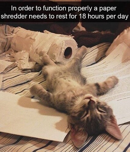 main-qimg-1df2485e458028851977a80ecee2652a