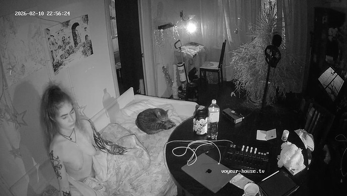 realm7-cam13-1770834040