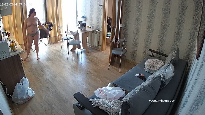Ashampoo_Snap_dimanche 20 octobre 2024_6h3m46s_001_Living room camera at Mariarty & Fairy reallifecam apartment at Voyeur Hub TV (cam14) - Google Chrome