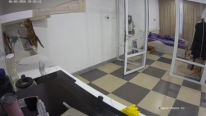 realm64-cam11-1780424704