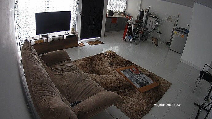 realm121-cam13-1760965753