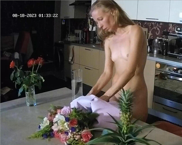 Screenshot 2023-08-17 at 18-46-20 Kitchen camera at Tyrone & Cindy reallifecam apartment at Voyeur House TV (cam11)