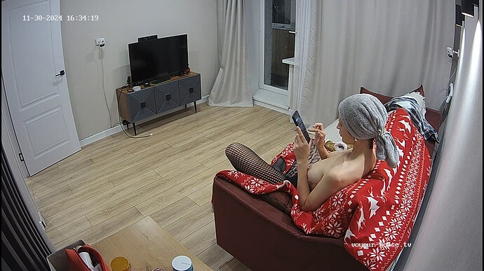 Ashampoo_Snap_samedi 30 novembre 2024_14h34m58s_001_Living room camera at Mira reallifecam apartment at Voyeur House TV (cam15) - Google Chrome