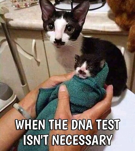 main-qimg-ff3ae70966a34968c6997e3b59c3966c