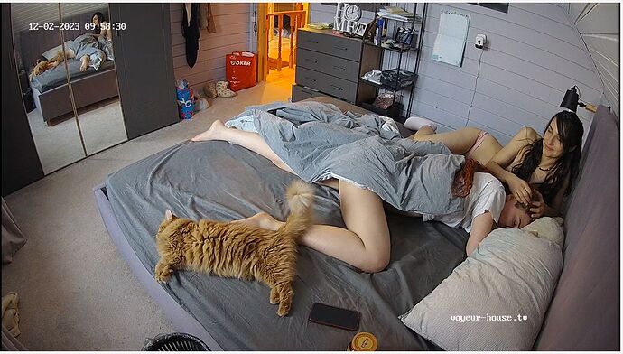 Screenshot_2023_12_02-53