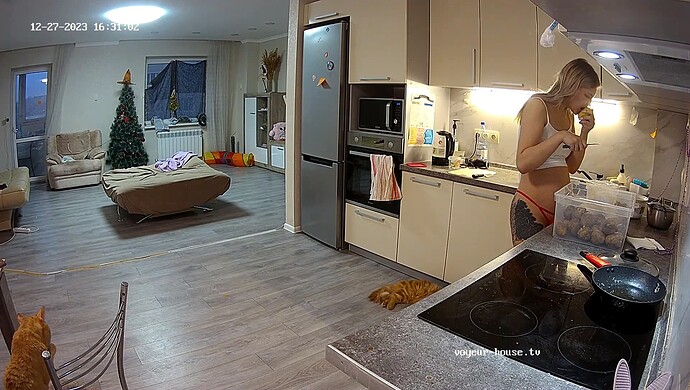 realm67-cam11-1703683900