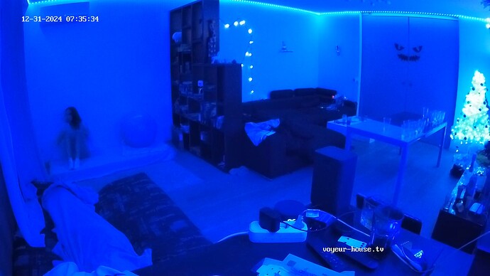 realm55-cam13-1735609042