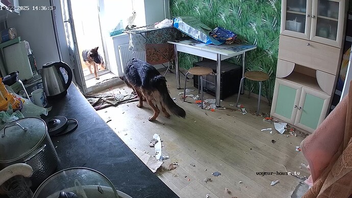 realm111-cam11-1761133035