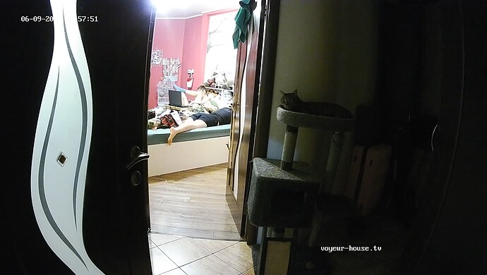 videoframe_187364